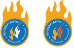 Abzeichen Kinderflamme Landesjugendfeuerwehr M-V